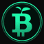 Какво е Green Bitcoin?