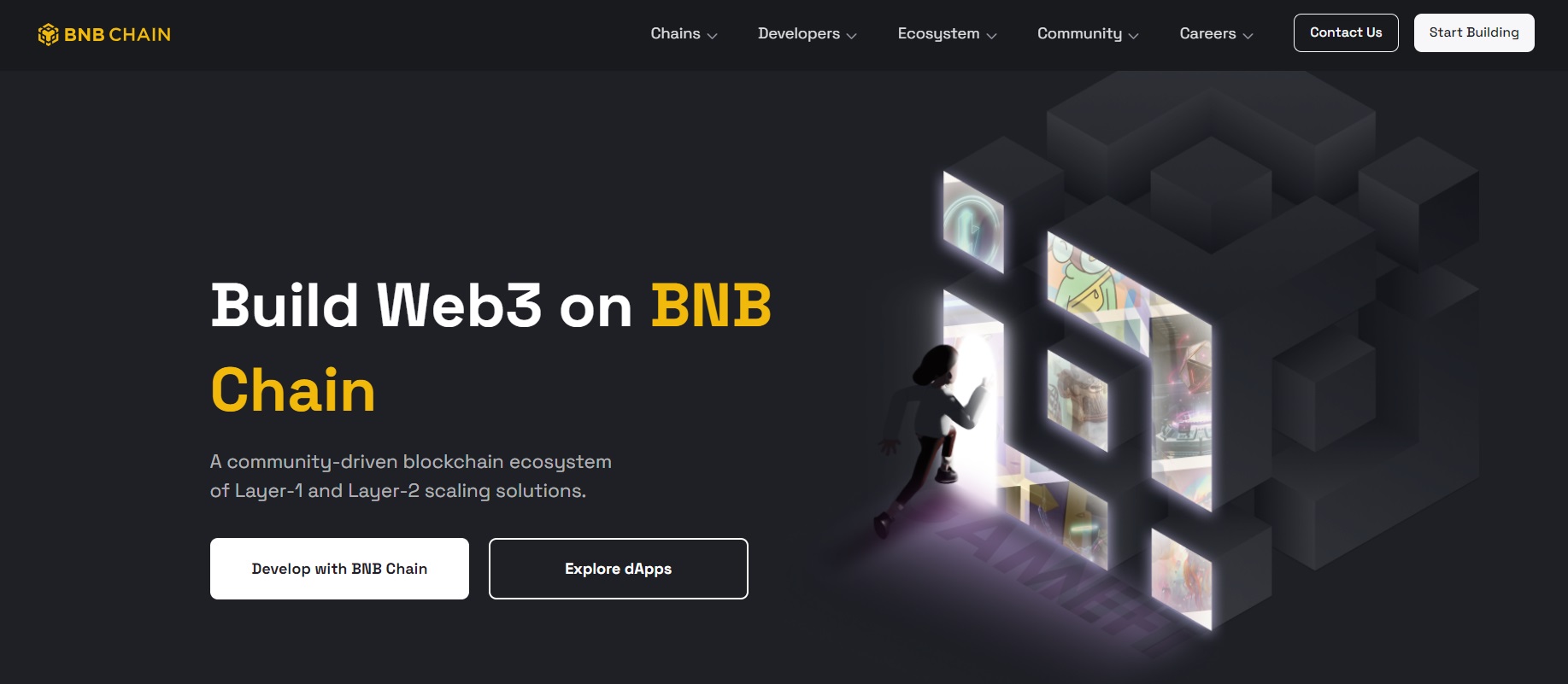 Binance recenze - Binance Chain