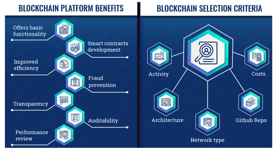 Jak poznáme nejlepší kryptoměny? Dle blockchainové sítě