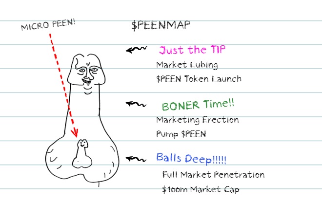 Roadmapa projektu PEEN