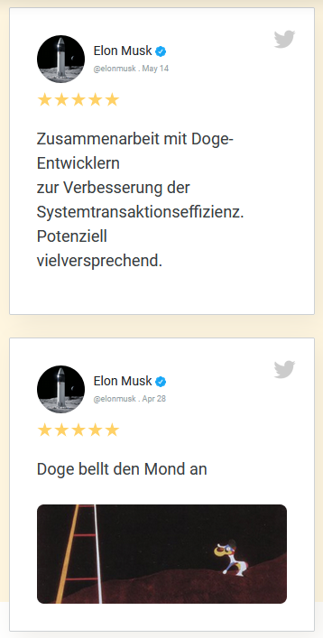 Dogecoin Millionaire Elon Musk