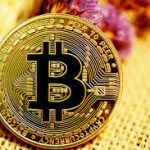 crypto airdrop