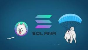 samoyedcoin