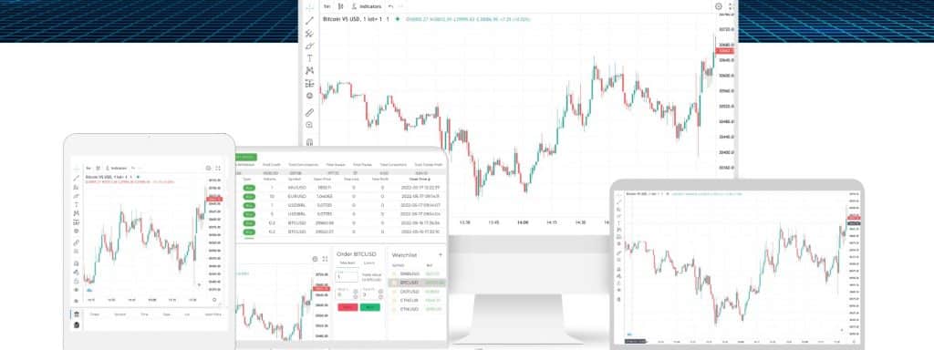 Biticodes iPlex Opiniones