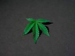 acciones cannabis