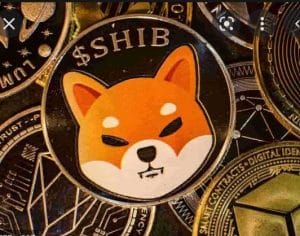 shiba inu prediction