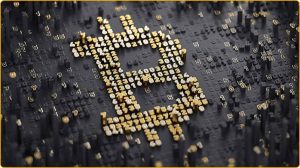 Biticodes iPlex Opiniones