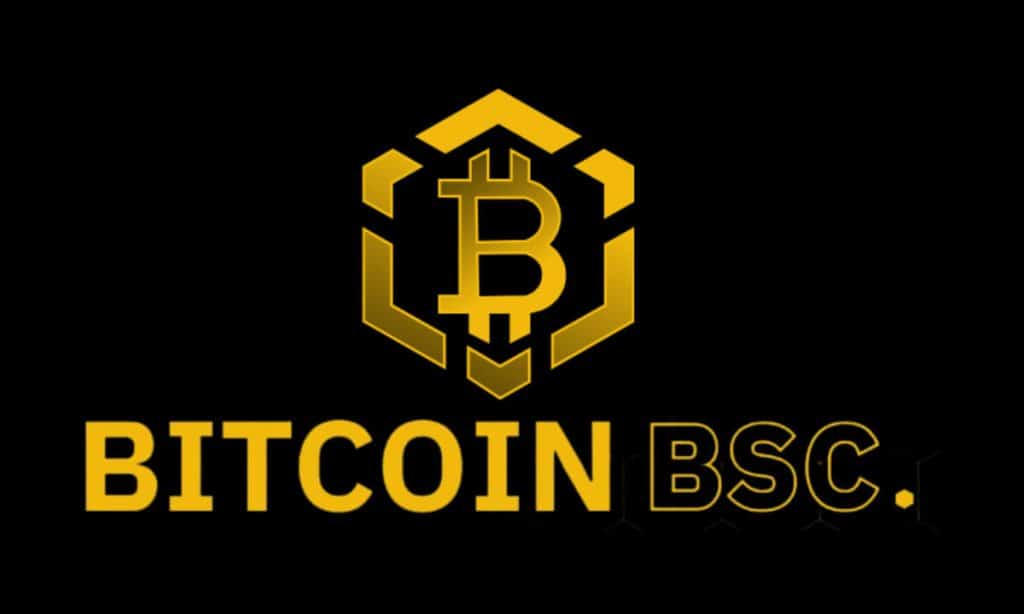 Bitcoin_BSC ico Criptomonedas