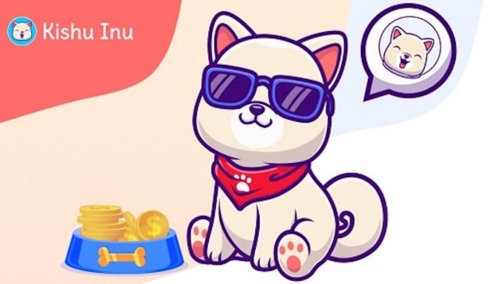 Kishu-Inu-criptomonedas perro