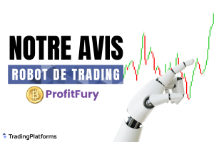 Profit Fury Avis