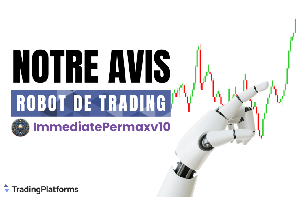 immediate Permax V10 Avis