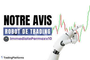 immediate Permax V10 Avis