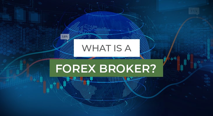 Best Forex Brokers