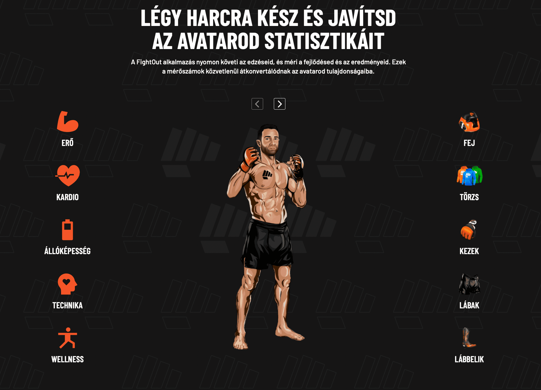 Fight-out-fght-fighter-hu