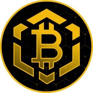 BTCBSC logo Bitcoin BSC