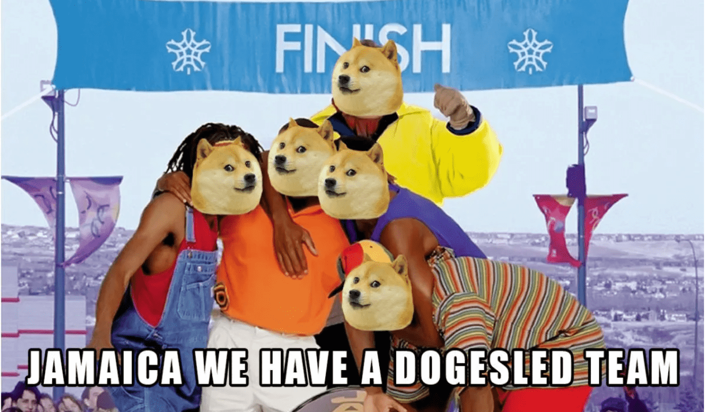 Dogecoin meme coin - progetti filantropici
