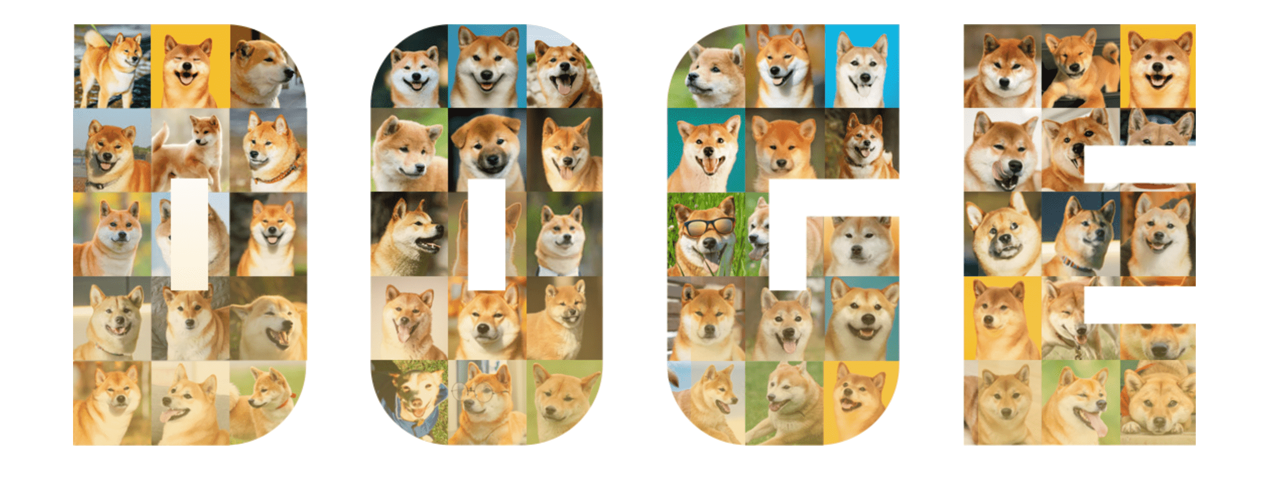 Cripto meme - cosa sono?