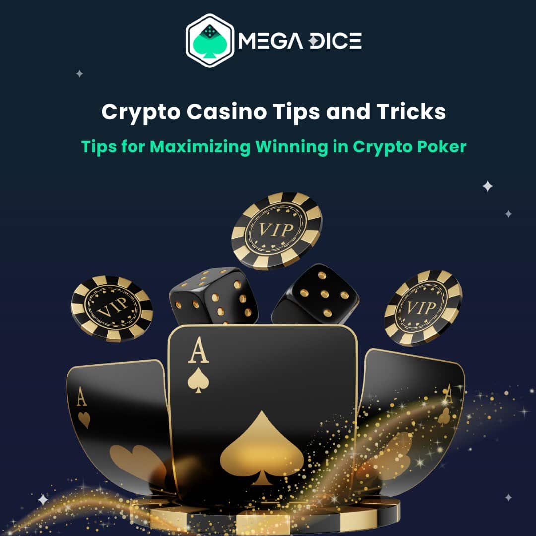 Mega Dice - recensione