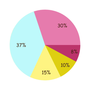 kolorowy-procentowy-wykres-kolowy alokacja tokenów