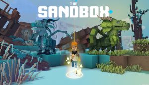 The-Sandbox-(Cutia- cu-nisip)