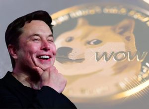 Elon Musk și legătura cu Dogecoin