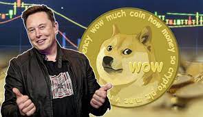 dogecoin si elon musk