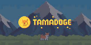 Jocuri Tamadoge 