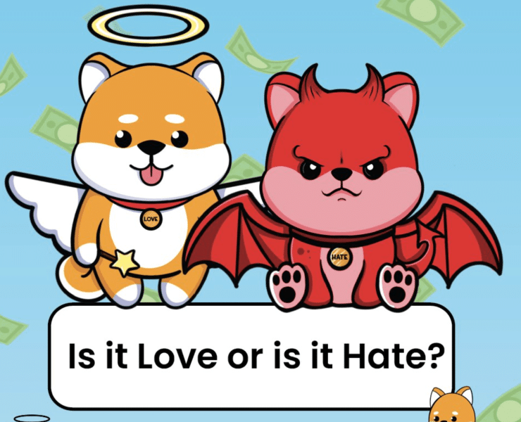 Ce reprezintă Love Hate Inu?
