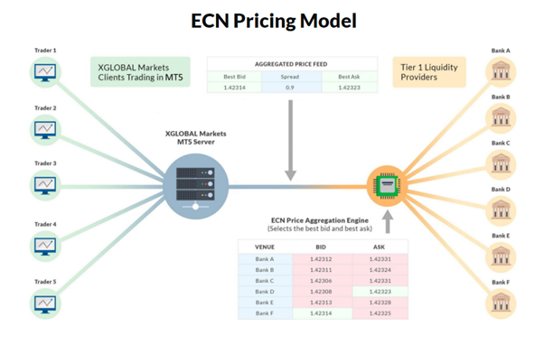 ECN forex trading platform model