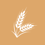 wheat stocks
