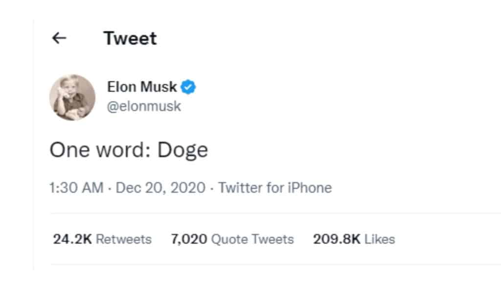 elon musk dogecoin tweet