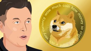 what are meme coins