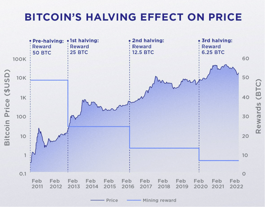 bitcoin halving