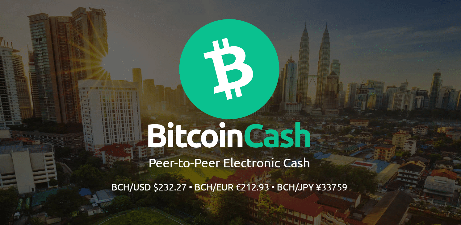 bitcoin cash most popular cryptocurrency in 2024