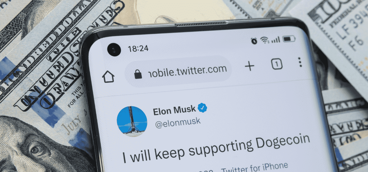 Dogecoin Price Prediction - Elon musk / Dogecoin